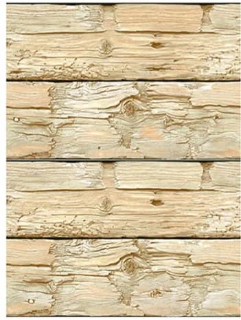 MAPLE 05