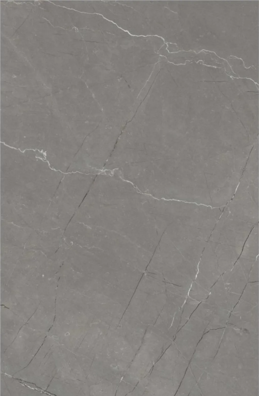 Platinum Grey